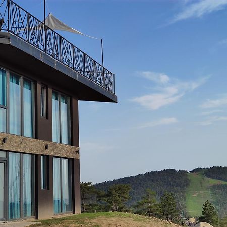 Vila Onyx Divcibare Bagian luar foto