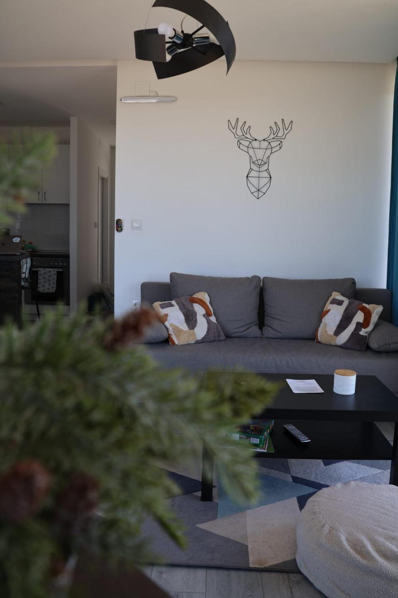 Vila Onyx Divcibare Bagian luar foto